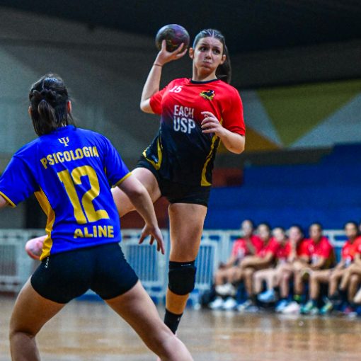 Event cover NDU Handebol Feminino (D) e Handebol Masculino (D) - 4 partidas - 31/05/2026