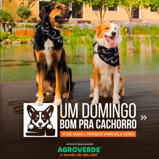 Event cover C�ominhada - Vin�cola G�es