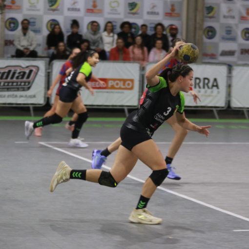 Event cover HANDEBOL F COPA SUL BRASILEIRO JUVENIL 2026