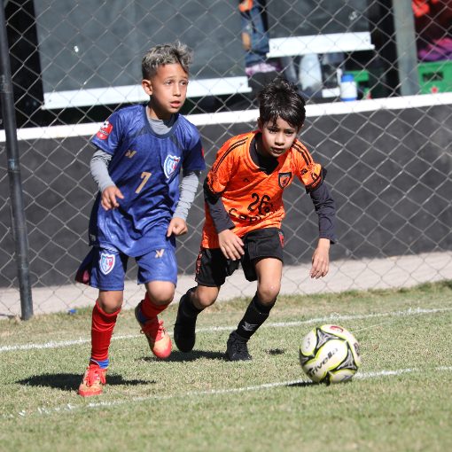 Copertura dell'evento TM CUP 2026 - SUB 08 - INSTITUTO SPORTING X BASE SC