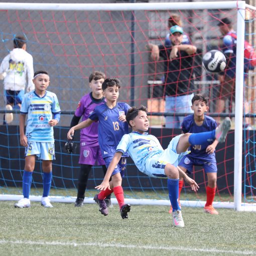 Event cover TM CUP 2026 - SUB 10 - CHELSEA BRASIL MS X BASE SC