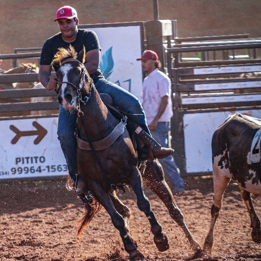 Event cover Team Penning - Expoverde 2026