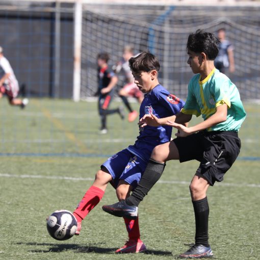 Copertura dell'evento TM CUP 2026 - SUB 12 - BASE SC X FUTURO FC