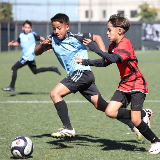 Copertura dell'evento TM CUP 2026 - SUB 11 - RAPLAY FC GO X BASE SC