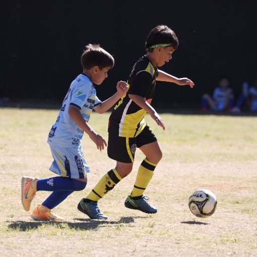 Copertura dell'evento TM CUP 2026 - SUB 09 - CHELSEA BRASIL MS X REIZINHOS DA BOLA
