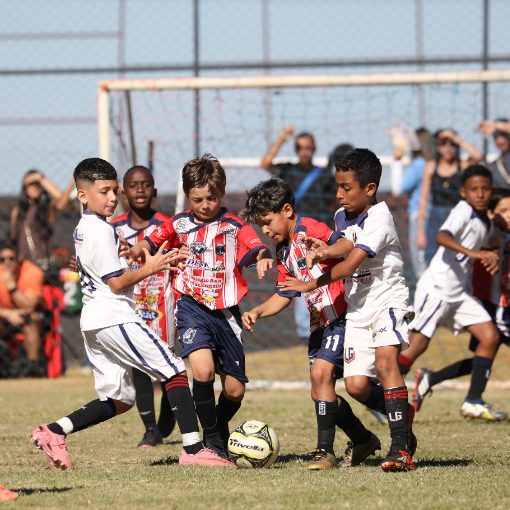 Copertura dell'evento TM CUP 2026 - LG SPORTS X UBERLANDIA ACADEMY