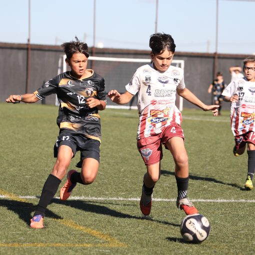 Copertura dell'evento TM CUP 2026 - SUB 11 - UBERLANDIA ACADEMY X GYNCITY GO
