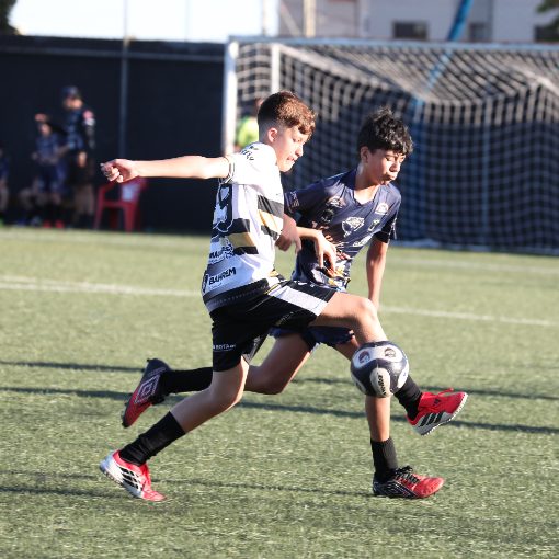 Copertura dell'evento TM CUP 2026 - SUB 12 - GYNCITY GO X UBERLANDIA ACADEMY