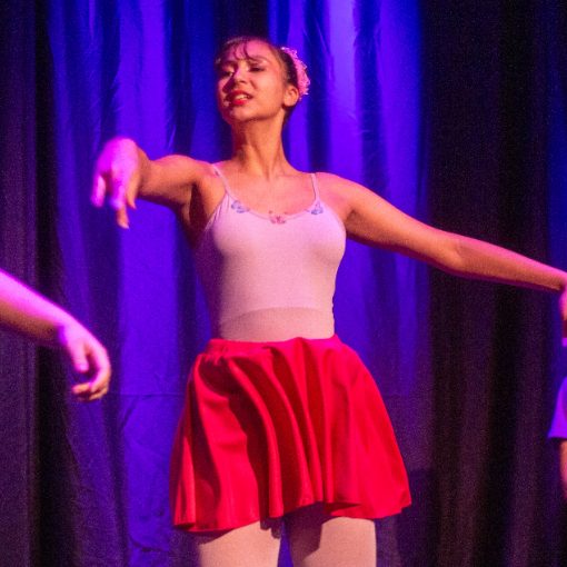 Event cover Lina e o Ballet dos Sonhos - Dance for Life