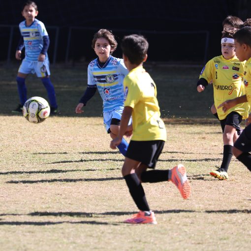 Copertura dell'evento TM CUP 2026 - SUB 11 - CHELSEA BRASIL MS X VIVINHO