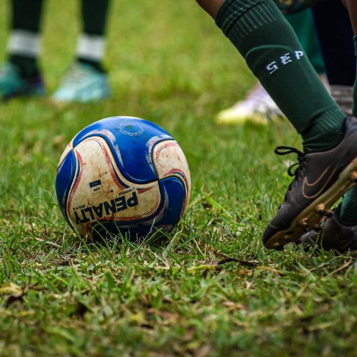 Event cover Palmeiras Araras X Palmeiras Limeira