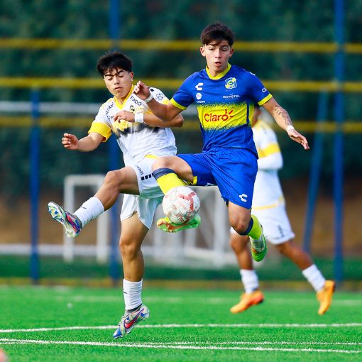 Event cover Fútbol Joven: Everton vs Coquimbo Sub 15-16