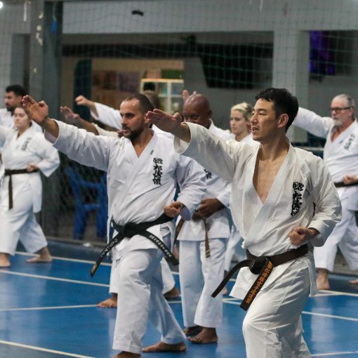 Copertura dell'evento Seminário Int SKIF BRASIL - Sensei Daizo Kanazawa 