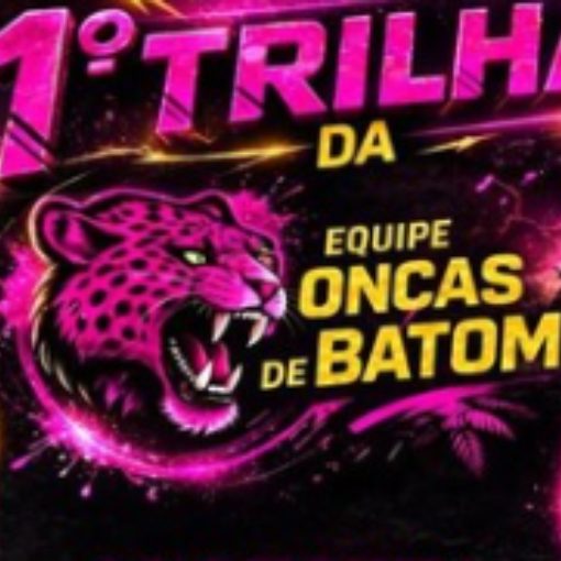 Event cover 1° Trilhão Onças de Batom