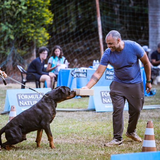 Event cover GINCANA PET - Olimpíadas CBKC 2026