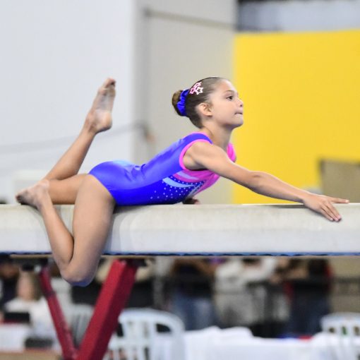 Event cover TORNEIO PAULISTA DE GINASTICA ARTISTICA MASCULINO E FEMININO 