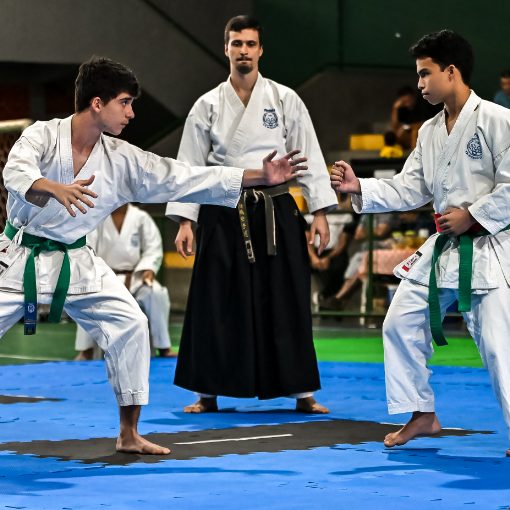 Event cover 1o Torneio De Karatê-Dô Infantojuvenil da Escola Pináculo Cuiabá