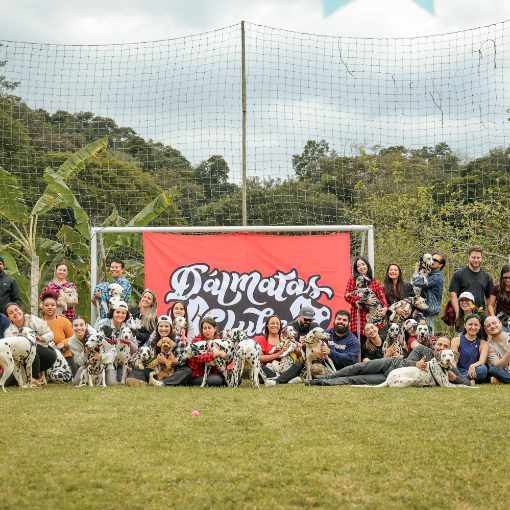 Portada del evento Dalmatas Clube
