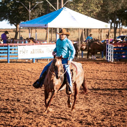 Event cover CLASSIFICATÓRIA TEAM PENNING EXPONAPOLIS