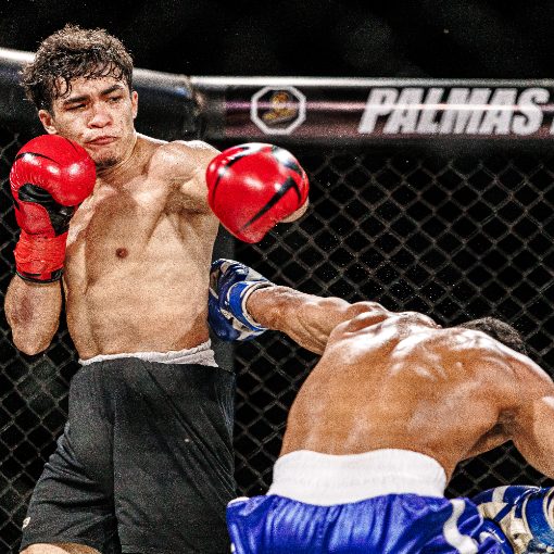 Event cover PALMAS FIGTH CHAMPIONSHIP 4