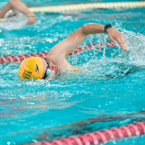 Event cover 3ª MARATONA AQUATICA ABERTA - AAA