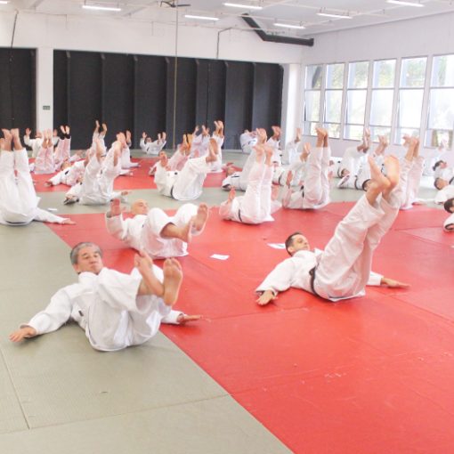 Event cover MODULO DE KATAME NO KATA E JU NO KATA
