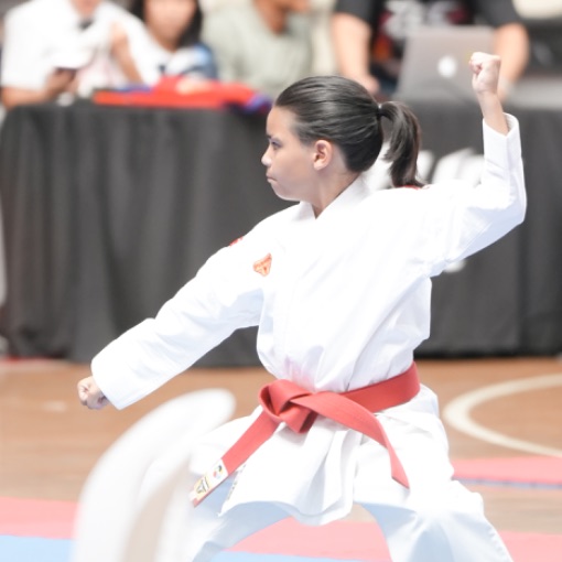 Event cover 7UC_KARATE_2026