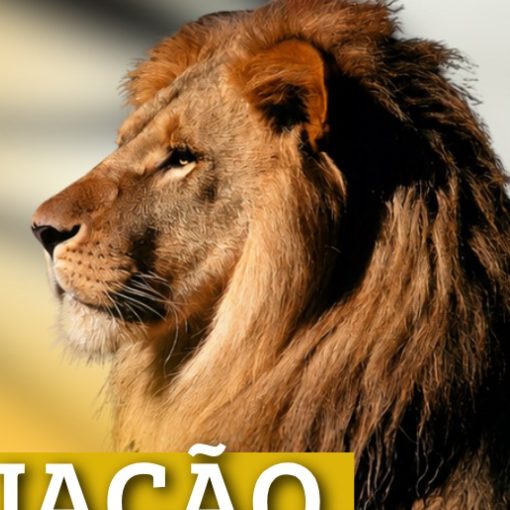 Capa do evento GRADUAÇÃO LEAO DOURADO - 2026