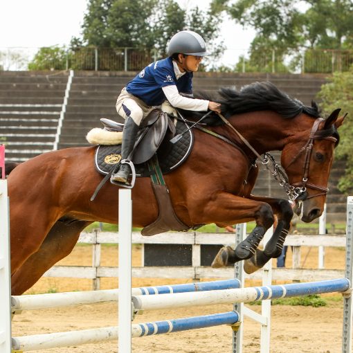 Event cover CLINICA DE HIPISMO PAULO MIRANDA
