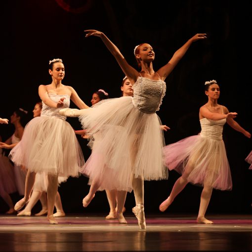 Event cover LES Sylphides  - Ana Maria Macedo
