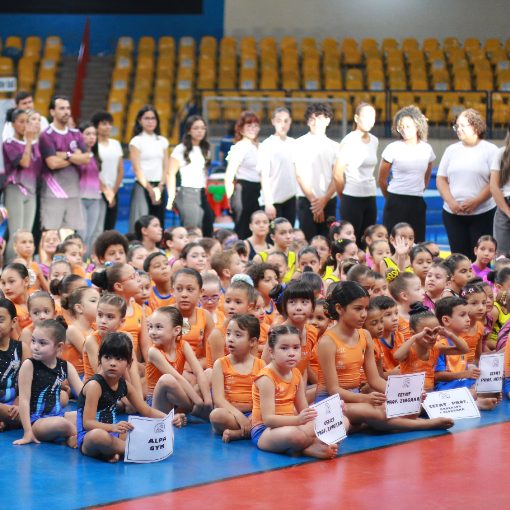 Portada del evento COPA CAMPO GRANDE FGMS DE GINÁSTICA ARTÍSTICA 2026