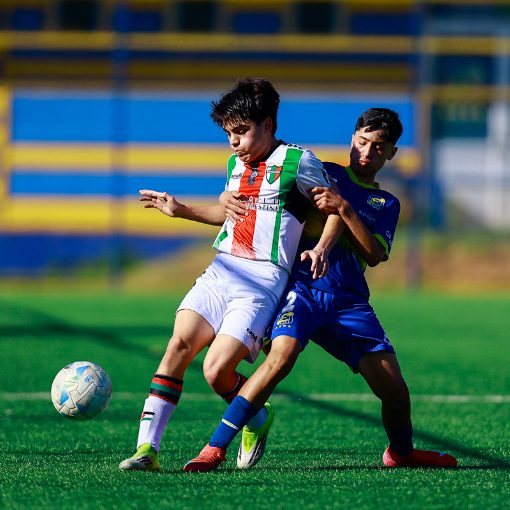 Event cover Fútbol Infantil: Everton vs Palestino Sub 13-14