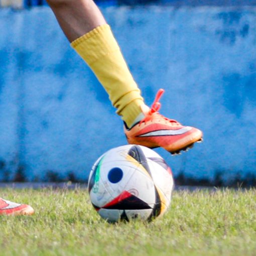 Capa do evento AMISTOSO FAMA VS TERRA PRETA