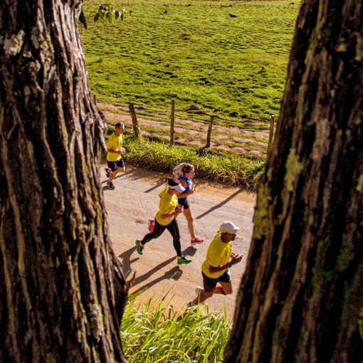 Event cover 51ª Corrida da Banana e do Leite