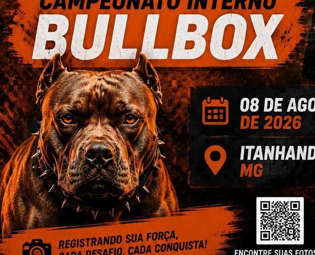 Portada del evento Campeonato Interno BullBox