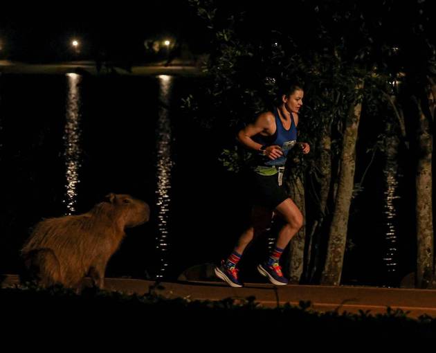 Event cover CORRIDA DE REVEZAMENTO CASCAVEL
