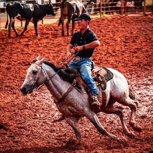 Event cover TEAM PENNING - PRIMEIRA RODADA - CAMPINA VERDE