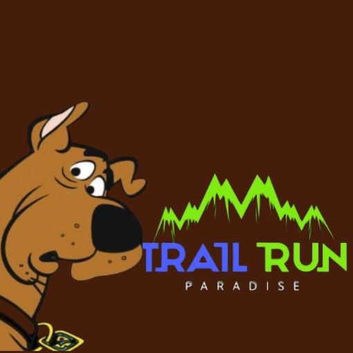 Portada del evento TRAIL RUN PARADISE 4ª ETAPA - CAJUEIRO/AL