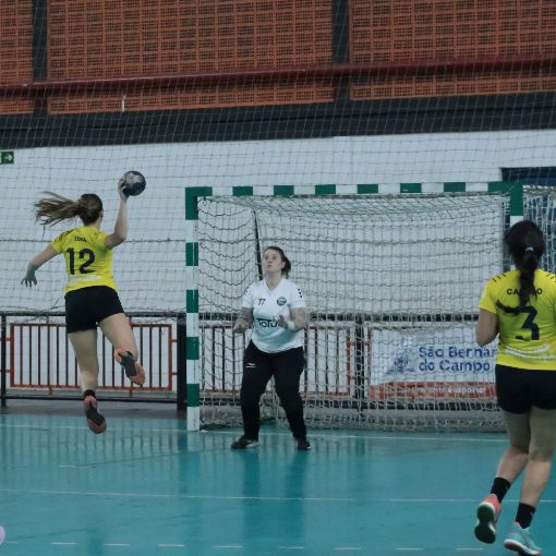 Event cover NDU Handebol Feminino (A, B, C, D) - 5 partidas - 02/08/2026