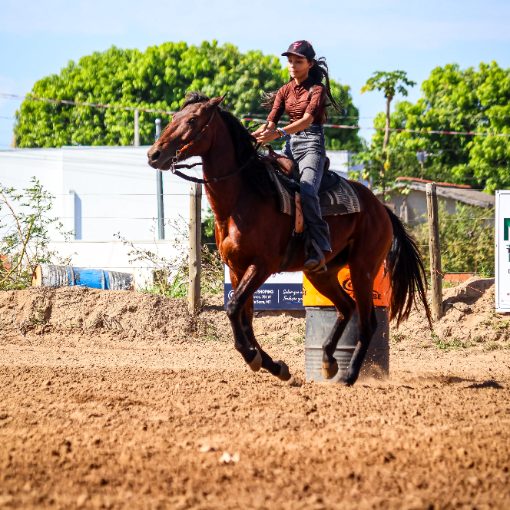 Event cover PROVA EQUESTRE - KING HORSE RANCH