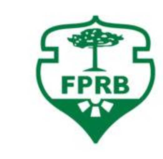 Event cover FPRB - CAMPEONATO ESTADUAL ADULTO MASCULINO SÉRIE PRATA