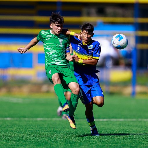 Event cover Fútbol Joven: Everton vs Wanderers Sub 15-16