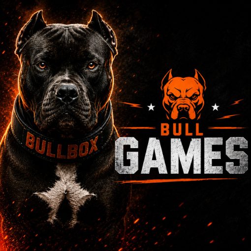 Couverture de l'événement Bull Games