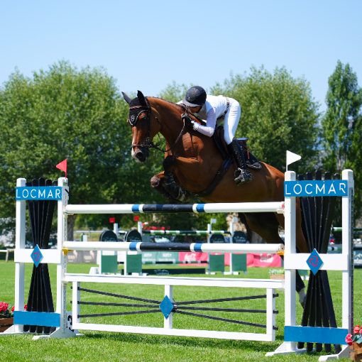 Event cover RUTA DE LA CERDANYA - 9 AGOST - CSN5*
