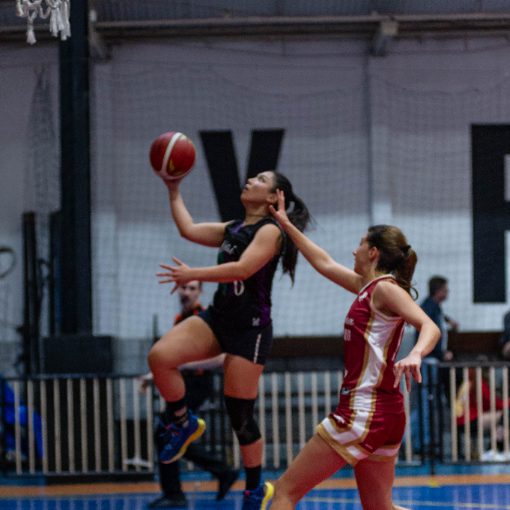 Event cover NDU Basquete FEMININO (B, D) - 3 Jogos - 15/08/2026
