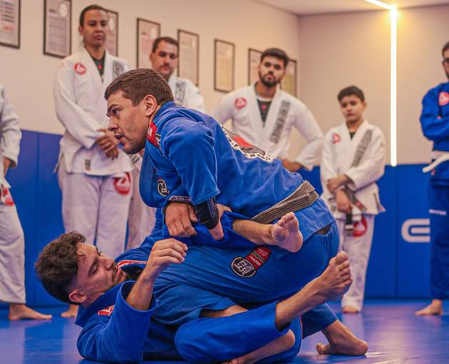 Couverture de l'événement AULÃO GRACIE BARRA 13AGO
