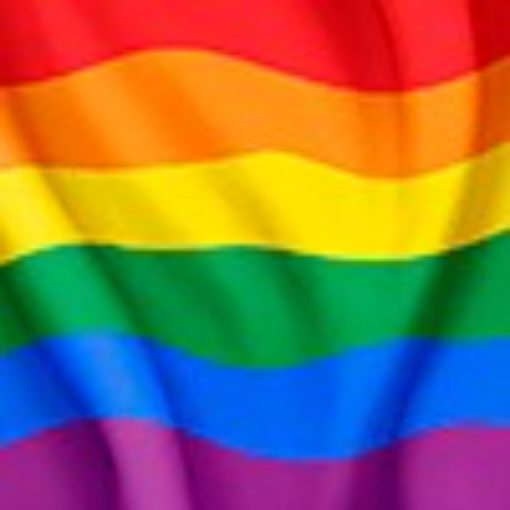 Event cover 31ª PARADA DO ORGULHO LGBTQIA+ GOIÂNIA