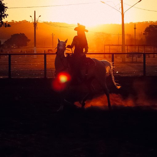 Event cover 5º PROVA DE RANCH SORTING
