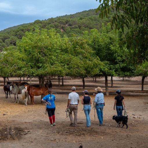 Event cover Mountain Horse Ranch - Cowboy Experience