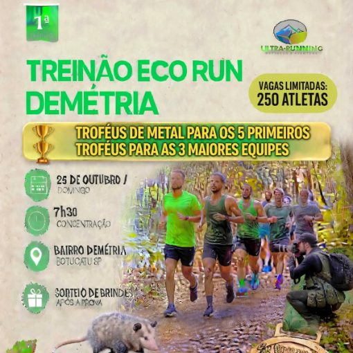 Event cover 1º Treinão Eco Run Demetria